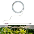 【東京 Ito】1頭 LED 植物生長燈(太陽光 USB 魚缸 室內種植 多肉植物)