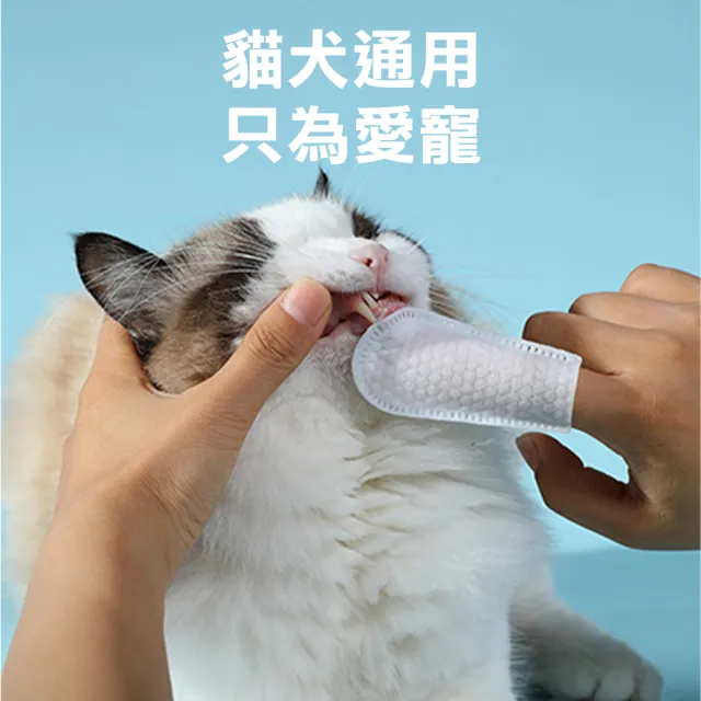 【CB嚴選】寵物潔牙濕紙巾(寵物濕紙巾 貓咪潔牙 寵物潔牙 寵物牙齒清潔 刷牙 牙刷 指套濕巾 潔牙濕巾)