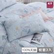 【HongYew 鴻宇】100%萊賽爾天絲 信封式枕套-喬柏斯(2入)