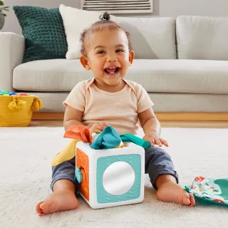 【Fisher price 費雪】趣味活動方塊