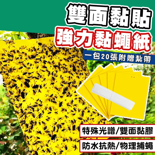 【拼創生活】雙面超黏捕蠅紙-黃色20入(捕蠅紙 黏蠅紙 誘蠅紙 黏果蠅 黏蒼蠅 捕蠅板 捕蠅器 黏蟲板)