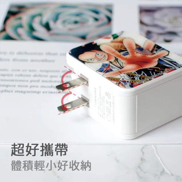 【HongXin】航海王 2.4A雙孔折疊充電器(旅行折疊插頭 快充 充電器 插頭 安全認證)