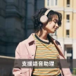 【SONY 索尼】WH-CH520(無線藍牙 耳罩式耳機)
