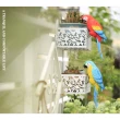【Homewell】戶外庭院花園陽臺可愛鸚鵡動物裝飾品掛飾 1對2隻 紅鸚鵡及藍鸚鵡