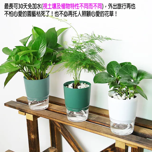 【月陽】超值2入中號加厚上下雙層懶人花盆自動吸水澆水自動灌溉器(X115TX2)