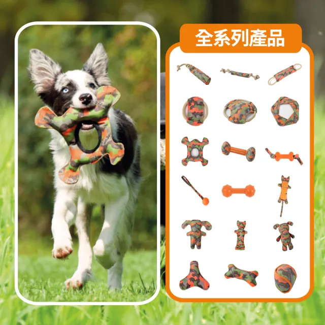 【Major Dog】戶外浮水球 狗玩具 互動玩具(抗憂鬱玩具 寵物玩具 無毒玩具 耐咬玩具)