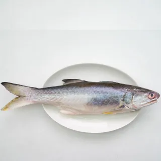 【天和鮮物】台灣鹹水午仔魚10包(200g/包)