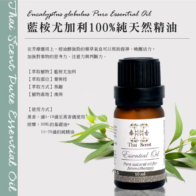 【Thai Scent 泰香】冷杉 尤加利 香茅 廣藿香 檸檬草 100%純精油 10ml(任選)