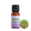 【草本24】Herb24 玫瑰草 純質精油 10ml(梳理煩躁、帶著清甜玫瑰香、100%純植物萃取)