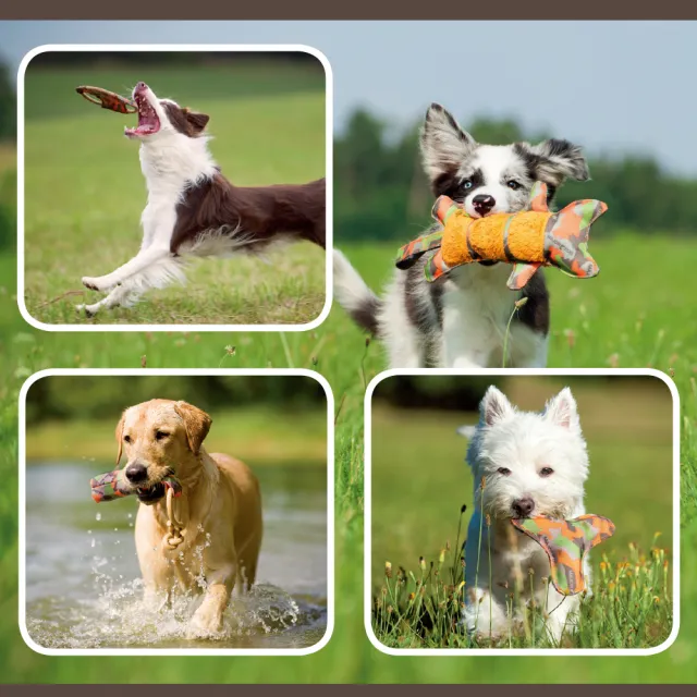 【Major Dog】互動拉帶 狗玩具 互動玩具(抗憂鬱玩具 寵物玩具 無毒玩具 耐咬玩具 拋接玩具)
