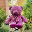 【歐比邁】玫瑰絨熊玩偶 台灣填充棉花(43吋葡萄紫玫瑰絨熊 1043002-1)
