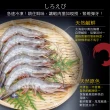 【小川漁屋】活凍南美白蝦12盒(500g±10%盒/25-30尾)