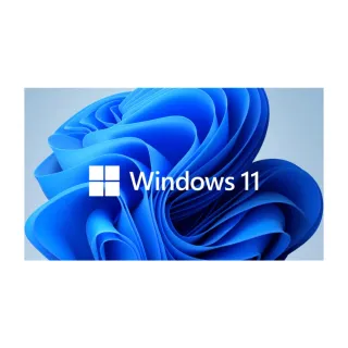 【Microsoft 微軟】Windows 11 家用隨機版(64位元/中文/含安裝)