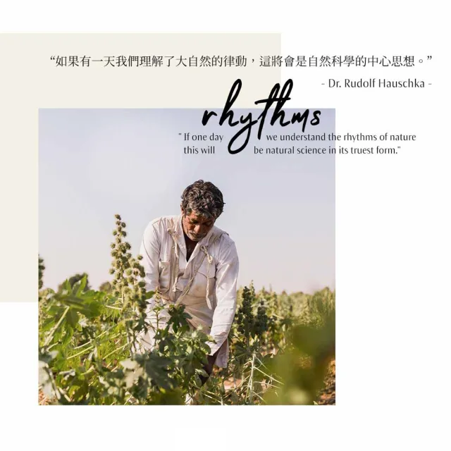 【Dr. Hauschka 德國世家】玫瑰滋養身體乳霜145ml(Dr.hauschka/德國/有機/保養/草本/甘露)