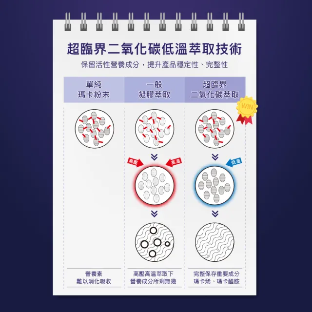 【樹井生醫】L-精胺酸秘魯黑瑪卡膠囊（60顆/盒）*3盒贈2盒(60倍濃縮、補充精氣神)