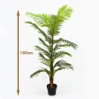 【YU Living 信歐傢居】仿真棕櫚樹綠色植物裝飾 高180CM(綠色/人造植物盆栽)