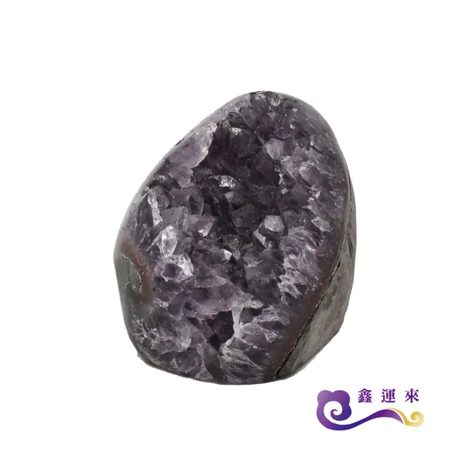 【鑫運來】招財烏拉圭紫晶鎮100-300g