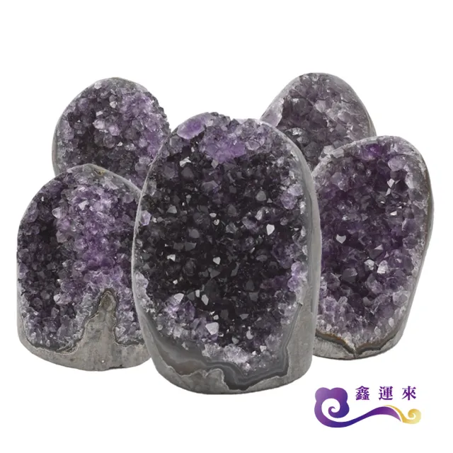 【鑫運來】招財烏拉圭紫晶鎮100-300g