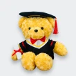 【歐比邁】畢業熊 玫瑰絨版(17吋長版畢業熊1088021)