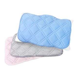 【LASSLEY】2入組冰絲涼感枕墊枕頭保潔墊(枕片 枕套 冰感 接觸冷感 外銷日本)