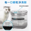 【STAR CANDY】寵物智能飲水機 專用濾芯5入組 免運費(過濾棉 活水機 自動飲水機 寵物活水機 貓咪飲水)