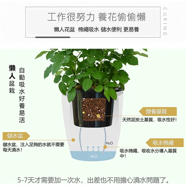 【品屋】大號仿金屬花盆(盆栽容器 加高款 園藝花盆 觀葉盆栽 自吸水懶人花盆 園藝植作 花盆花器 造型花盆)