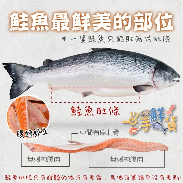 【一手鮮貨】智利鮭魚肚條(1包組/單包1kg±10%)