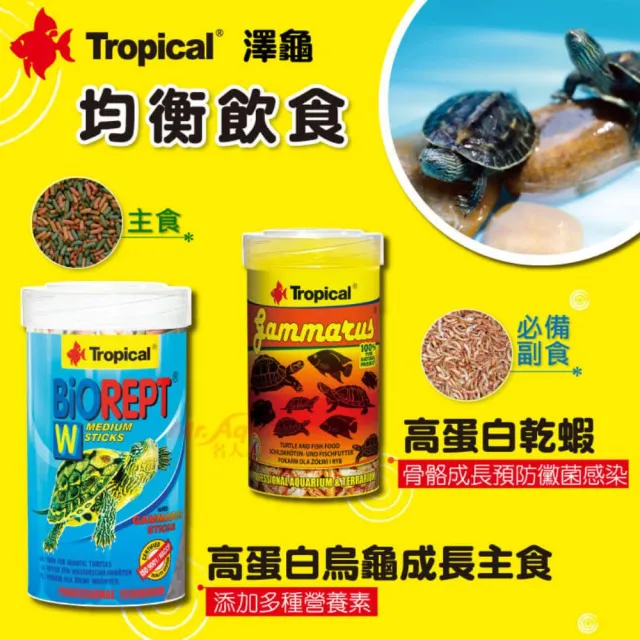 【Tropical 德比克】高蛋白烏龜成長主食飼料250ml 水龜.澤龜中小瓶裝250ml(兩棲爬蟲澤龜主食飼料)