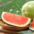 【金山水果】花蓮玉里大西瓜(25台斤x1顆/箱±10%)