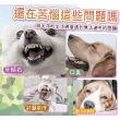 【LIKE PET】寵物潔牙指套濕紙巾(50入 寵物用品 牙齒清潔 刷牙 指套濕巾 貓狗清潔手套)