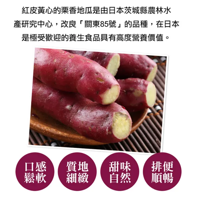 【享吃美味】特A級紅皮栗香地瓜超值包3包(1Kg/包)