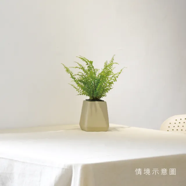 【森多】心葉蔓綠絨－方盆系列｜廚浴植物 水耕盆栽 空氣淨化