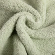 【HOLA】極超細纖維素色抗菌方巾-綠37x37cm