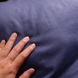 【Embrace 英柏絲】多角度翻身擺位可頌枕 A型枕 翻身護理枕 長照機構 臥床 L型枕變化版 台灣製(多色任選)