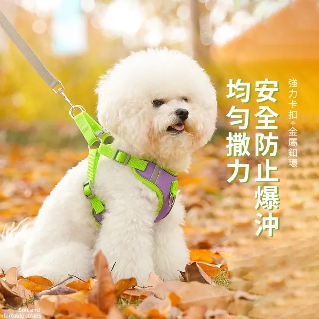 【OMG】小型犬泰迪胸背牽引繩 遛狗繩 犬貓通用寵物繩(胸背+1.5M扁繩)