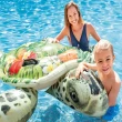 【寶盒百貨】INTEX 大海龜水上充氣坐騎 充氣浮排(水上坐騎充氣戲水玩具衝浪游泳裝備57555)