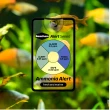 【Seachem 西肯】阿摩尼亞監測器 Ammonia Alert/阿摩尼亞長期監測器/氨測試貼片(淡水、海水適用 N4010)