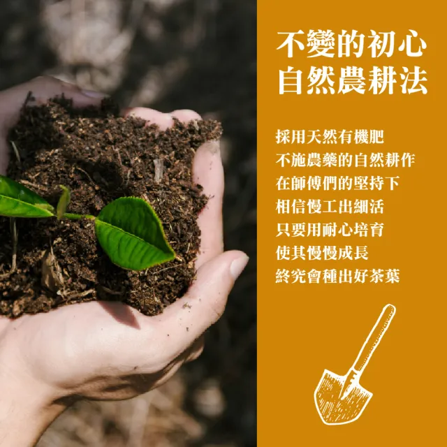 【名池茶業】二兩灑金禮盒-阿里山高山烏龍茶葉75gx2罐x4盒(共1斤)