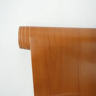 【特力屋】雅家裝飾自黏貼布90X200cm木紋YLA0017-1