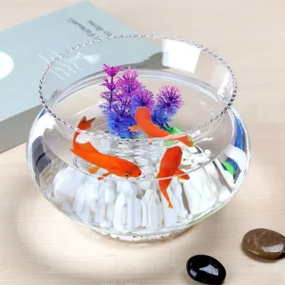 【JEN】多功能花邊透明玻璃魚缸微景缸生態造景水培植物花瓶擺飾