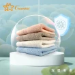 【Gemini 雙星】素色菱格緞檔抗菌系列(浴巾)