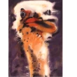 【劉其偉藝術典藏】親筆簽名限量發行石版畫(保育動物系列--鴕鳥)