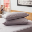 【LAMINA】高科技膜枕用防蹣防水保潔墊(2入)