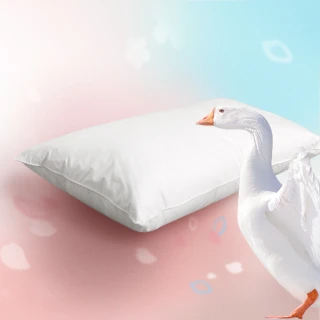 【Embrace英柏絲】五星級飯店指定御用 水鳥羽絨枕 100%純棉表布防絨加工(一入)