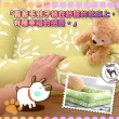 【Embrace英柏絲】綠葉系列 寵物睡墊 寵物床 記憶床墊-小(60x40)