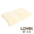 【LOVEL】嚴選六星級飯店素色純棉浴巾6件組(共5色)