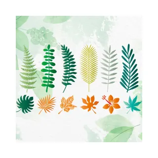 【子玄】熱帶森林植物樹葉鏤空繪畫 12片模板 噴繪 塗鴉畫畫模板(植物葉片 植物模板 葉子雨林系列 葉子模板)