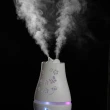 【Warm】雙噴頭香薰機薰香機加濕器超音波負離子水氧機W-220白(加來自澳洲進口的精油x3瓶)