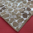 【范登伯格】比利時 圓舞曲花花世界絲質地毯(50x70cm)