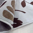 【范登伯格】比利時 圓舞曲柔豔花賞絲質地毯(50x70cm)